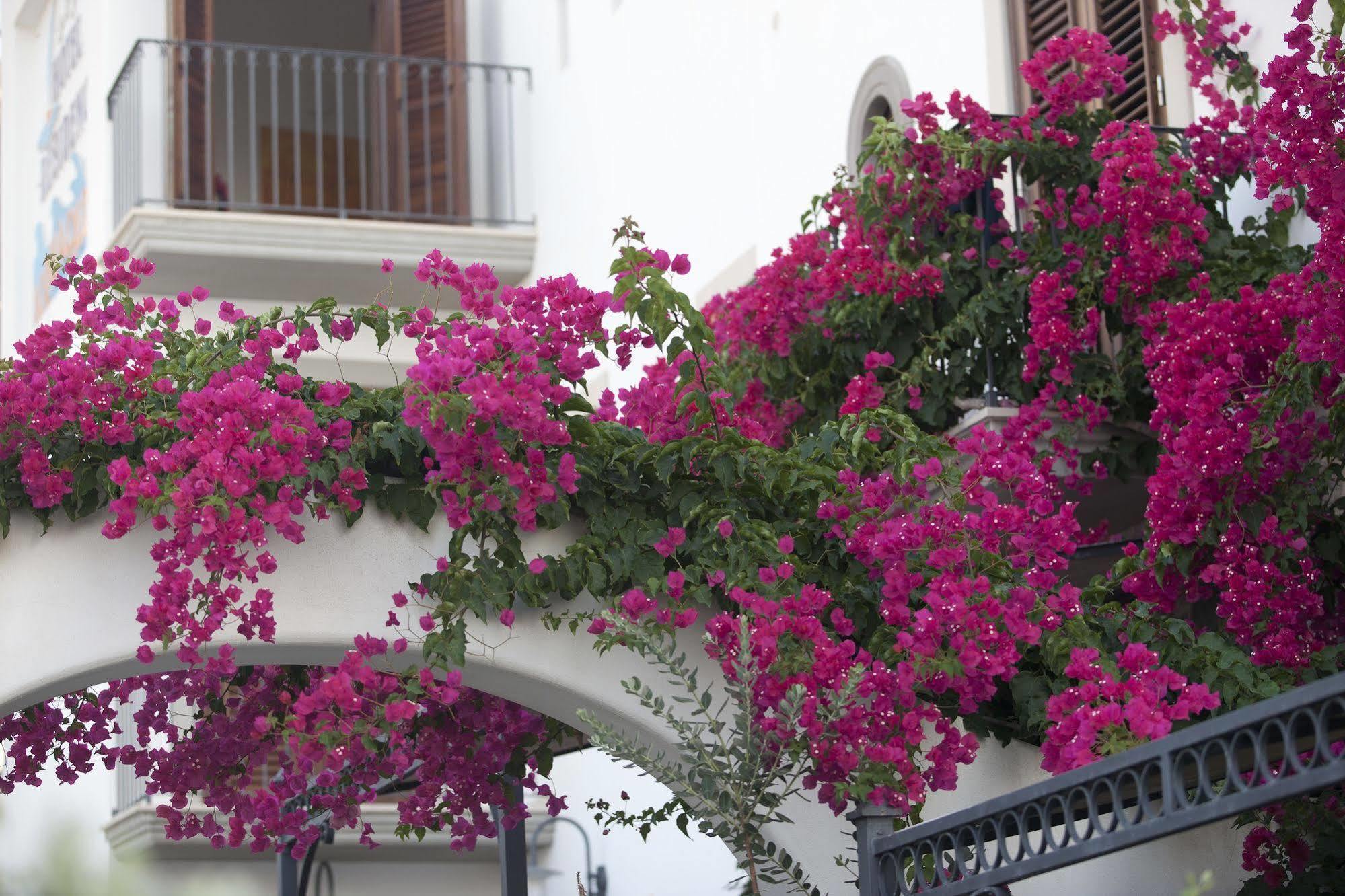 Hotel Residence Acquacalda Città di Lipari Esterno foto